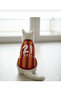 Cat and Dog Jersey and Clothing That Can Be Printed with Name and Number