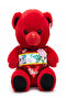 Classic Red Teddy Bear (30 cm) with “I Love You” Text