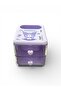 License-Protected Desk Pen Holder - 2
