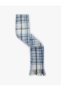 Soft Textured Checkered Tassel Long Scarf