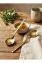 Luxury Gold Dessert Spoon Set 6 Pieces - Dowry Special Design Cake and Milk Dessert Serving Spoon - 4