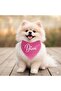 Mix Köpek Scarf Cat Scarf (2-15 kg) - 2