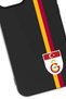 iPhone 13 Pro Compatible Parted Stripe Flag Emblem Black Silicone Licensed Phone Case - 2