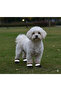 Waterproof Dog Shoes with Reflective Features and Velcro for Small and Medium Breeds - 2