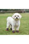 Waterproof Dog Shoes with Reflective Features and Velcro for Small and Medium Breeds
