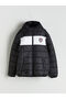 Hooded Licensed Printed Boys' Puffer Coat from Uzg Store for Style Enthusiasts