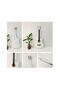 38 Inch Beginner Acoustic Guitar for Teens & Adults (White)
