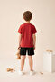 Boy's 100% Cotton T-Shirt/Tshirt and Boy's Shorts Set Together - 4
