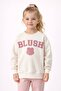 Blush Embroidered Sweatshirt - 2
