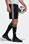 Squadra 21 Men's Shorts - 3