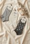 Women's Cotton Booties Socks Colorful 3-Piece Pack - 2