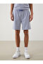 Timeless Clothing & Timeless Choices Standardfit Striped Men's Shorts - 2