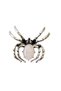 Spider Brooch with Rose Quartz Stone - 2