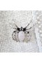 Spider Brooch with Rose Quartz Stone
