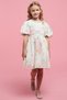 Girl's Pink Schiffli A-Line Dress with Crew Neck and Puff Sleeves