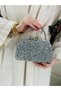 Women's Silver Stone Double Handle Women's Young Wedding Nikah Prom Graduation Engagement Evening Dress Bag - 5
