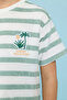 Boy's Multicolor Striped T-Shirt With Crew Neck And Short Sleeves - 5