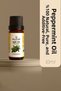 Peppermint Oil 10 ml – 100% Natural Undiluted Essential Oil (Glass Bottle) - 3