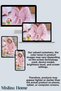 Luna Soft Girls'/Boys' Hooded Wellsoft Bathrobe Plush Dressing Gown |   Anthracite - 5