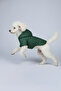 Cat and Dog Apparel & Gown & Raincoat - Green Mesh Raincoat - 2
