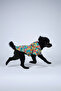 Cat and Dog Outfit & Dress & Raincoat - Colorful Germ Printed Mesh Raincoat - 2