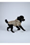 Cat and Dog Outfit & Dress & Raincoat - Leopard Printed Mesh Raincoat - 3