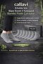 Seamless bamboo men's booties boxed 6 pairs - 4