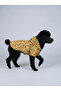 Cat and Dog Outfit & Dress & Raincoat - Yellow Wow Printed Mesh Raincoat - 2