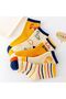 5 Pairs of Dinosaur Patterned Baby Socks & Kids Socks in Stylish Colors & Breathable Stretchy Fabric