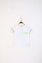 Boy's Printed Crew Neck Short Sleeve T-Shirt