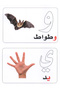 سلسلة البطاقالت والكروت التعليمية - الحروف العربية - 3