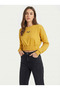 Women's Mustard Elastic Waist Crop Sweatshirt Nj89 - 3