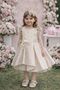 Girl's Tulle Dress