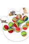 Cat Dog Pet Rainbow Ball 2-Pack Pet Shop