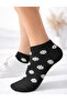 Economical Pack of 5 Daisy Patterned Women's Short Booties Socks - 2