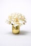 GOLD CEVİZ MODEL ARANJMAN