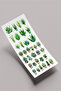 Sukulent Sticker Seti