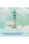 Aloe Vera and Cucumber Extract Baby Hair and Body Shampoo 250ml - 5