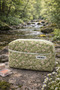 Green Pocket Detailed Makeup and Travel Bag & Organizer