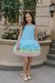 Ombre Tulle Detailed Girls' Dress - 4