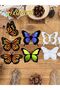 Original Lovely 5 Styles Beautiful Butterflies Metal Cutting Dies Scrapbooking Decorative Embossing - 8