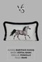 Throw Pillow Cover 35X50 cm Babyface Fabric Double Sided Black Tassel Digital Printing - 2