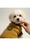 Lion and Mustard Yellow Sweater for Cat and Dog - 2