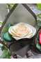 BEIGE ROSE MINI-BOUQET