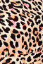 Animal Print Long Sleep Tee in Cream Colour - Rayon - 5