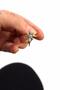 Zircon Stone Vip Ring - 4