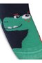 Dinosaur 6- Baby Boys' Pantyhose - Beige - 3