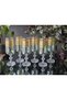 Handmade Crystal Alda Green Lustered 24K Gold Engraved 6-Piece Presentation Coffee Water Glass 180Cc