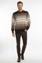 Men's Crew Neck Patterned Slim Sweater - 2
