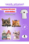 Iron-On Clothing Stickers Cats - Set of 3, 4 Pieces